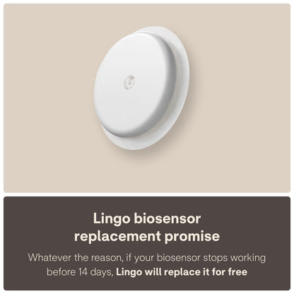 Lingo Continuous Know the impact of what you eat