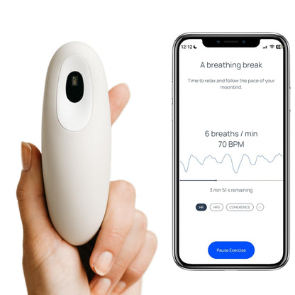 Guided Breathing Tool for Relaxation & Sleep