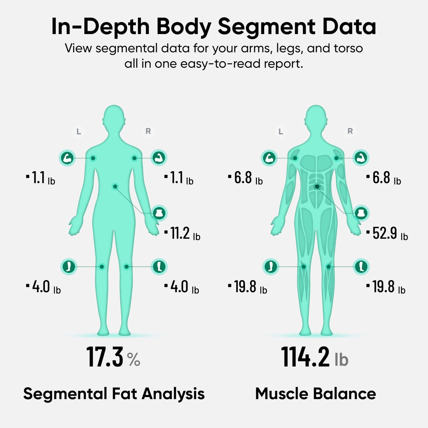 Smart Body Composition Scale with Handle