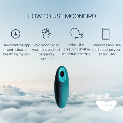 Guided Breathing Tool for Relaxation & Sleep