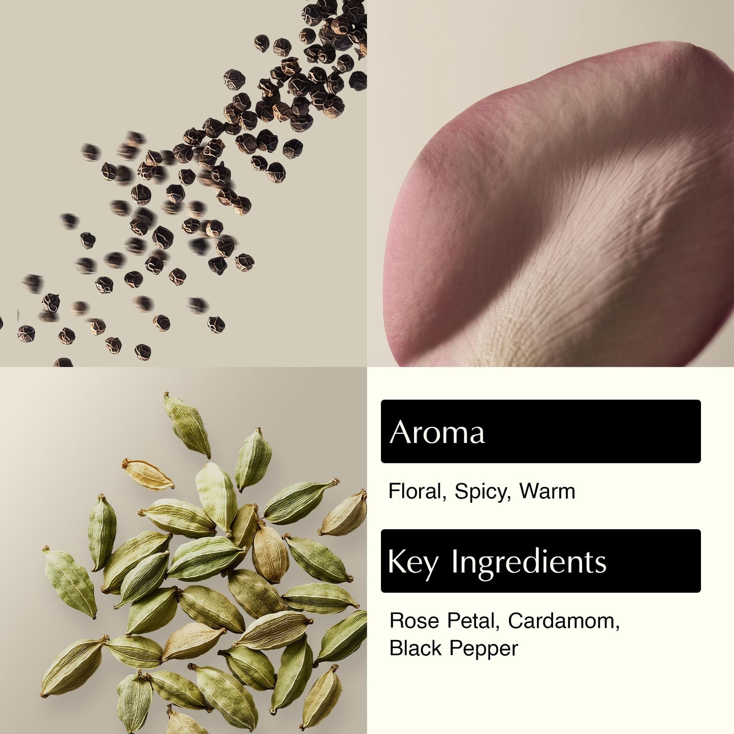 Gentle Body Cleanser
